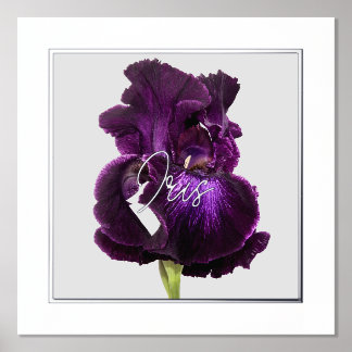 Tall Bearded Iris Foil Text Print Poster