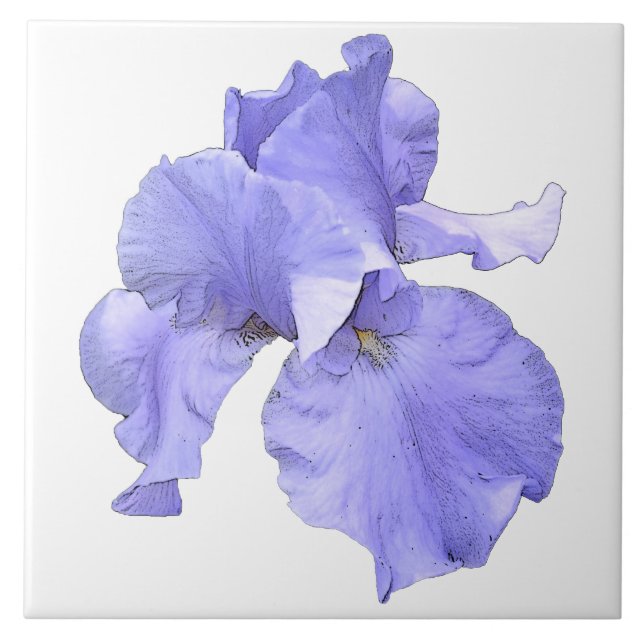 Tall Bearded Purple Iris Ceramic Tile (Front)