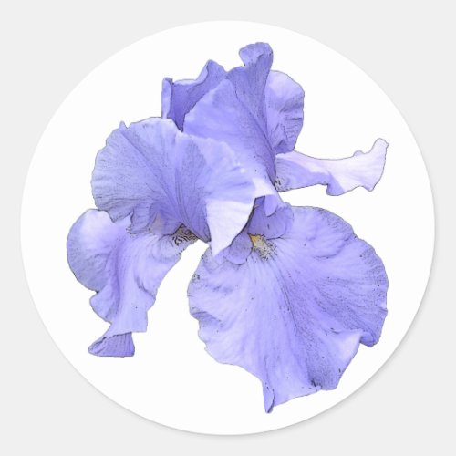 Tall Bearded Purple Iris Classic Round Sticker