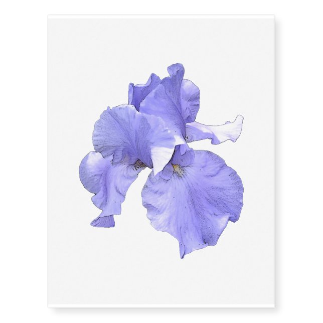 Tall Bearded Purple Iris Temporary Tattoos (Front)