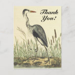 [ Thumbnail: Tall Bird, "Thank You!", Vintage Look Postcard ]