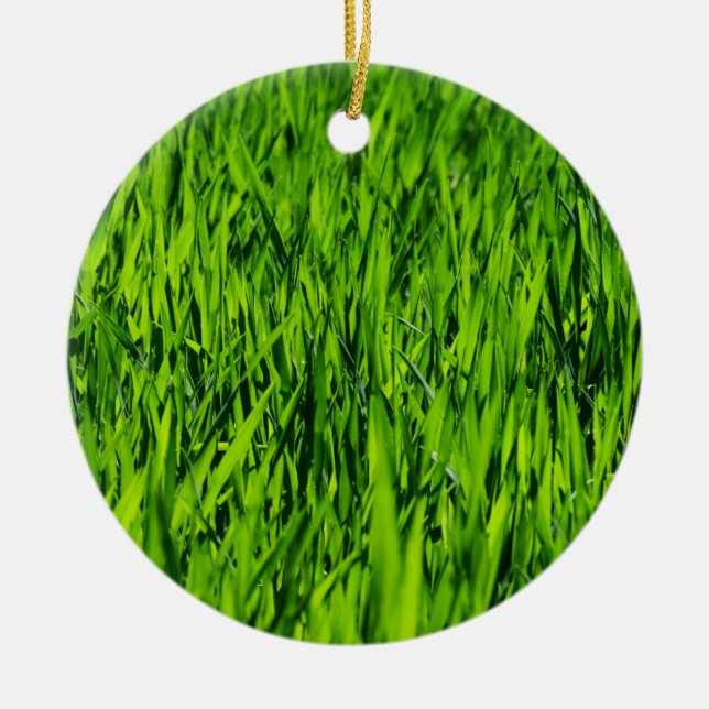 Tall Blades of Grass Ceramic Ornament (Front)
