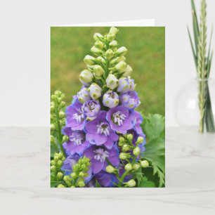 Tall Delphinium Scripture Card 1 Corinthians 16:13