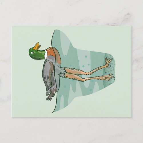 Tall duck with long legs postcard