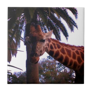 Tall Giraffe Tales Under The Palm Tree, Ceramic Tile