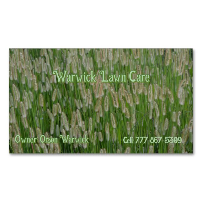 Tall Green Grasses Seeds Business Card Magnet (Front)