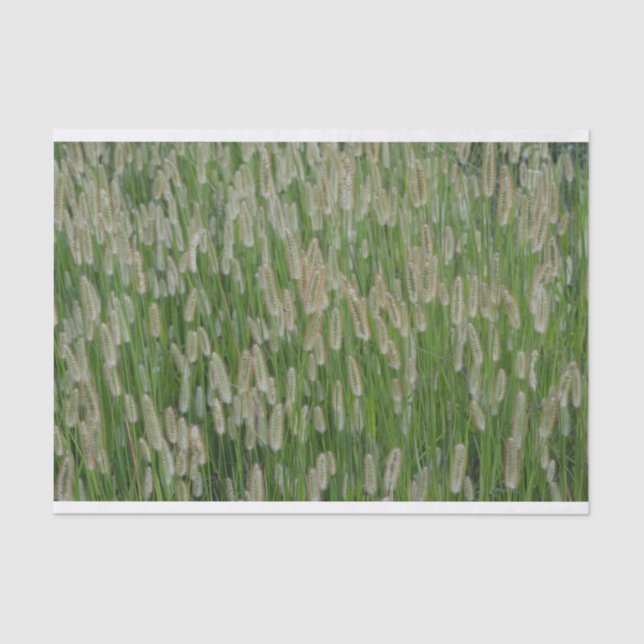 Tall Green Grasses Seeds Tissue Paper (Front)