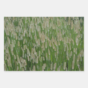 Tall Green Grasses Seeds Wrapping Paper Sheets