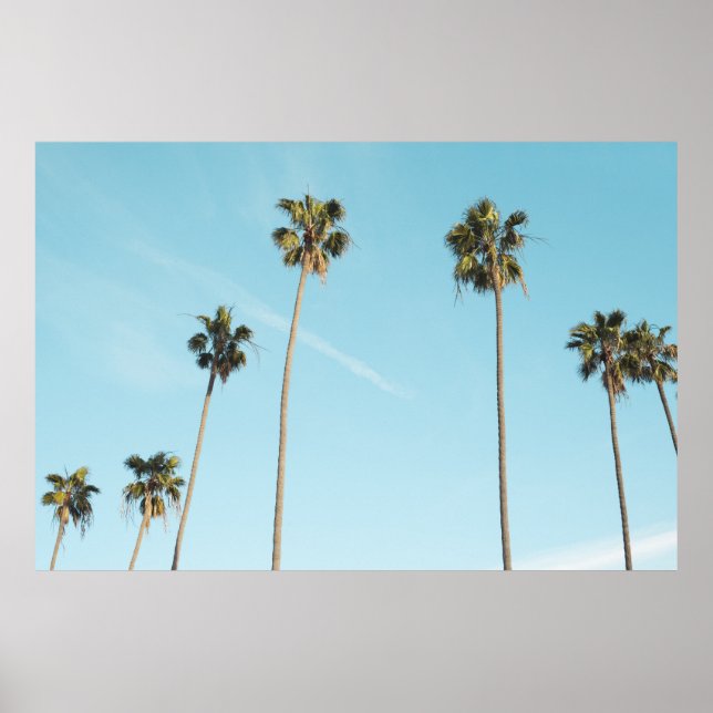 Tall Palm Trees Light Blue Sky Poster (Front)