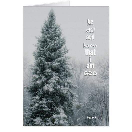 Tall Pine Tree Snow Storm Christian Message Cards (Front)