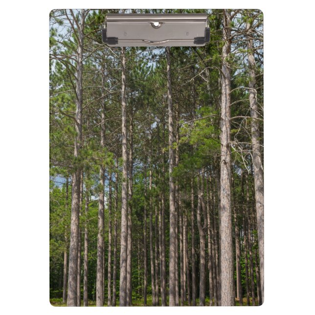 Tall Pines Clipboard (Front)