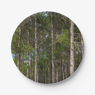 Tall Pines Paper Plates