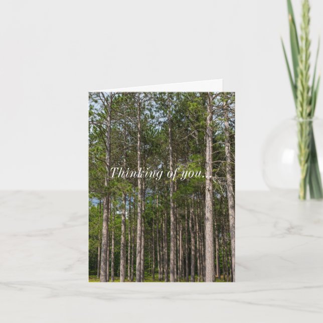 Tall Pines Thinking Of You Card (Front)