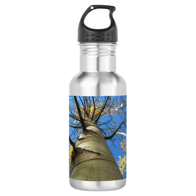Tall Quaking Aspen Tree Stainless Steel Water Bottle (Front)
