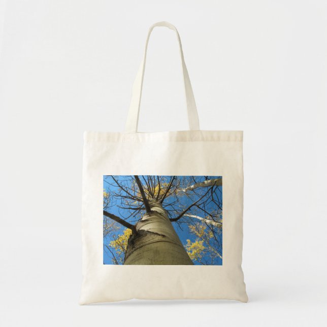 Tall Quaking Aspen Tree Tote Bag (Front)