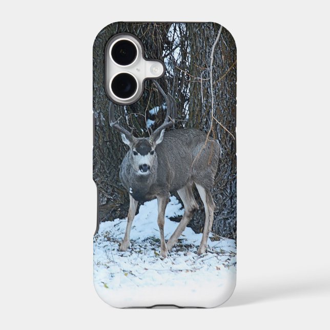 Tall rack buck iphone case (Back)