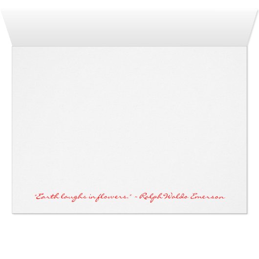 Tall Red Flower (Inside Horizontal (Bottom))