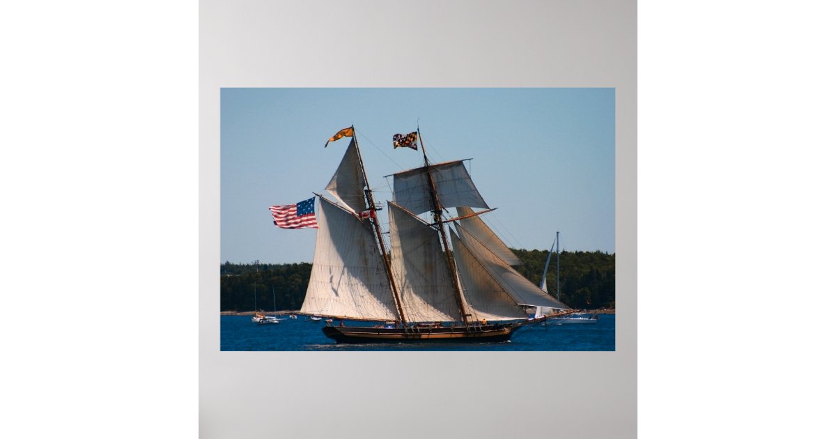 Tall Ship Pride of Baltimore Photo Poster | Zazzle