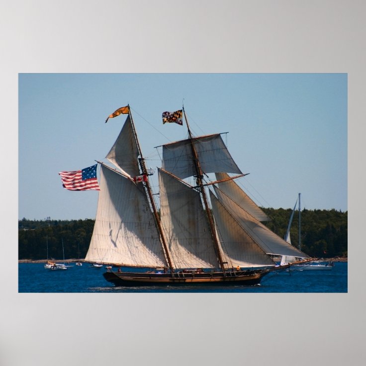 Tall Ship Pride of Baltimore Photo Poster | Zazzle