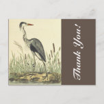 [ Thumbnail: Tall Standing Bird Near Cattails, "Thank You!" Postcard ]