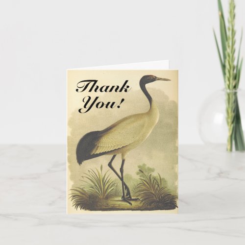 Tall Standing Bird Thank You Greeting Card