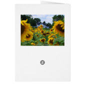 Tall Sunflower Card (Back)