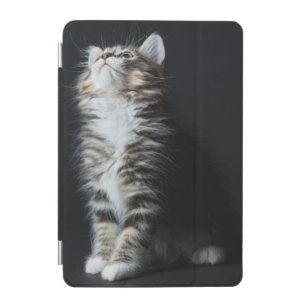 Tall Tabby iPad Mini Cover
