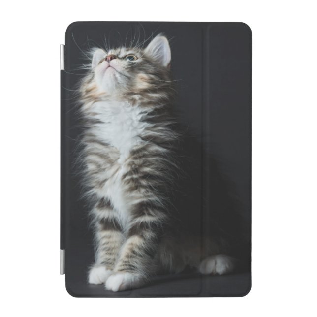 Tall Tabby iPad Mini Cover (Front)