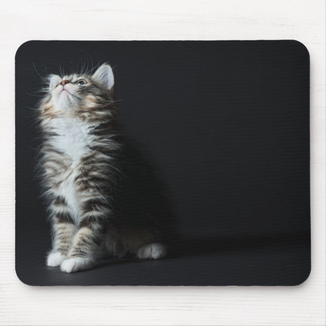 Tall Tabby Mouse Pad (Front)