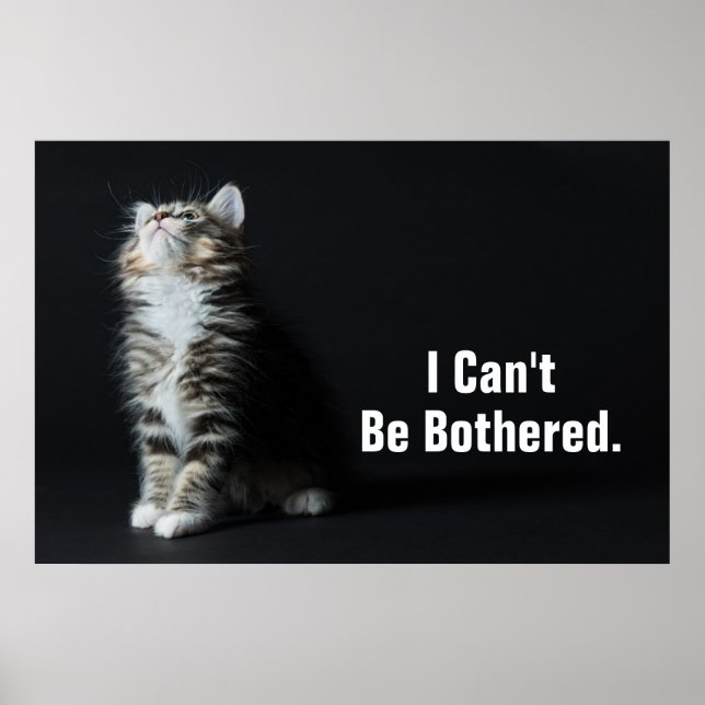 Tall Tabby Poster (Front)