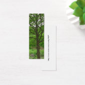 Tall Tree Bookmark (Desk)
