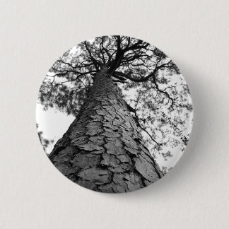 Tall Tree BW Button