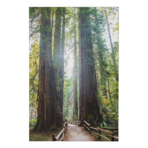 Tall Trees Faux Canvas Print