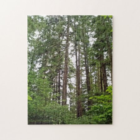 Tall Trees Puzzle