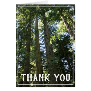 Tall Trees Thank You Card Tall Trees Thank You Card