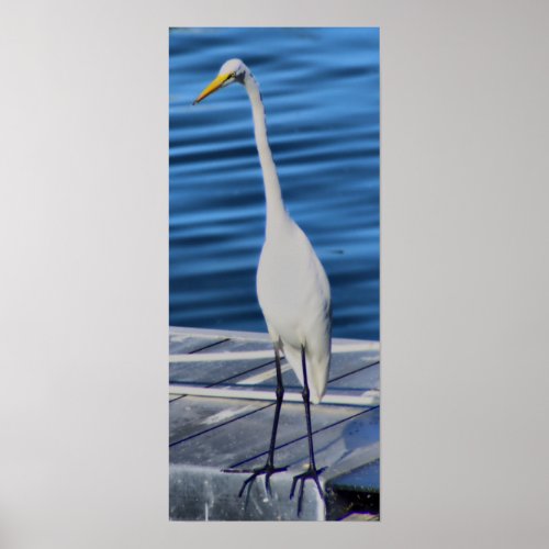 Tall White Crane Poster