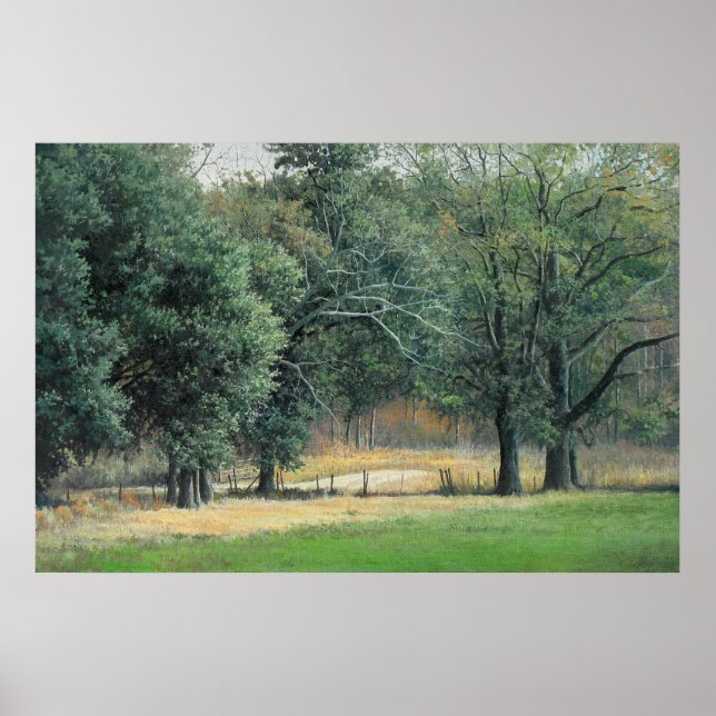 Tallahassee fields 1 poster (Front)