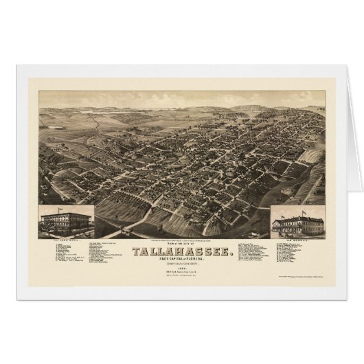 Tallahassee, FL Panoramic Map - 1885 Cards (Front Horizontal)