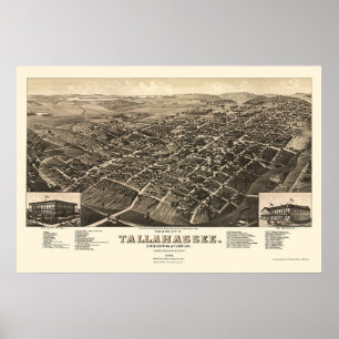 Tallahassee, FL Panoramic Map - 1885 Poster