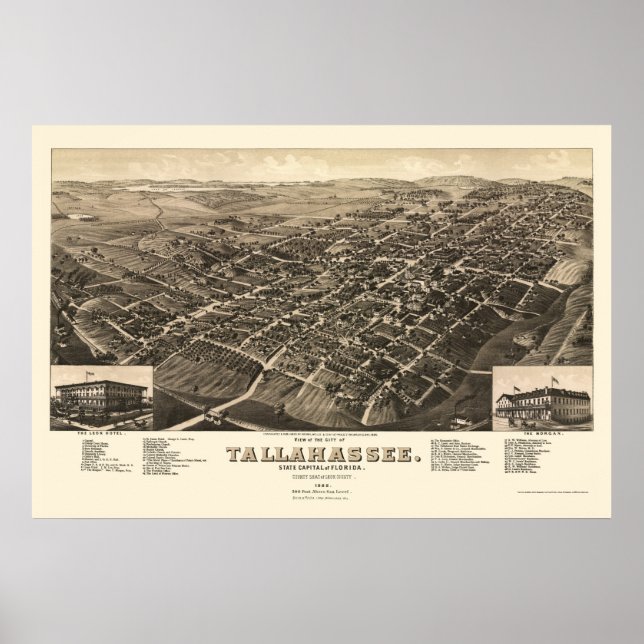 Tallahassee, FL Panoramic Map - 1885 Poster (Front)