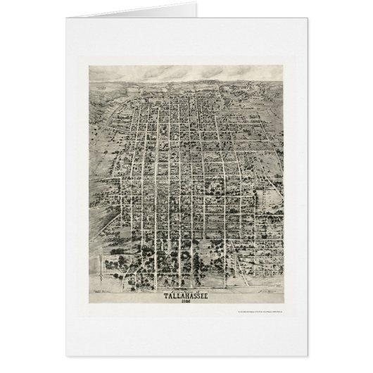 Tallahassee, FL Panoramic Map - 1926 Cards (Front)
