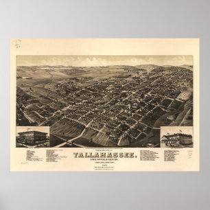 Tallahassee Florida 1885 Panoramic Map Poster