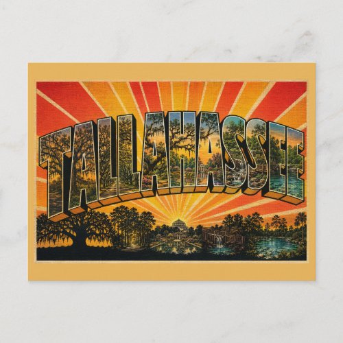 Tallahassee Florida Canopy Roads Gardens Vintage Postcard