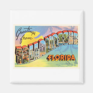Tallahassee Florida FL Old Vintage Travel Souvenir Magnet
