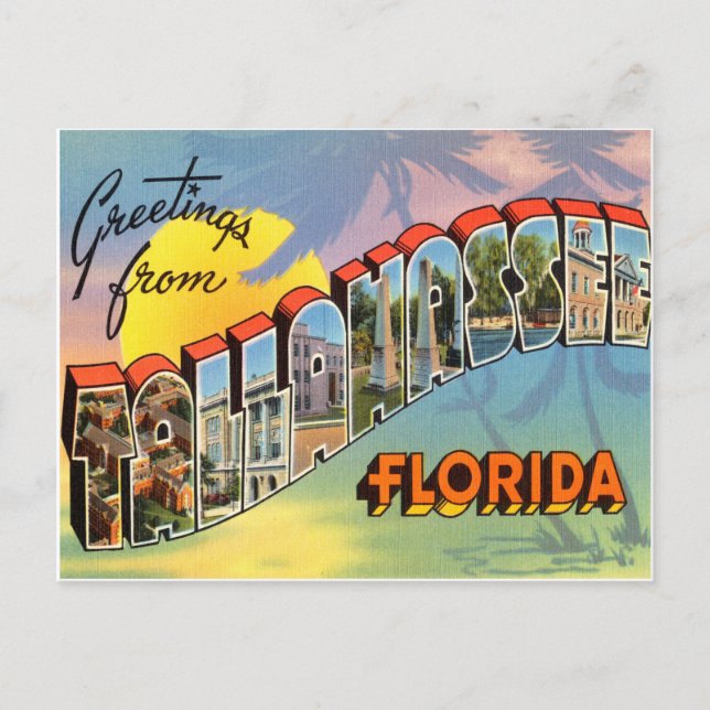 Tallahassee Florida Postcard (Front)