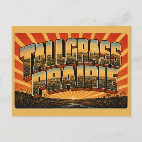 Tallgrass Prairie Kansas Rolling Hills Wildflowers Postcard