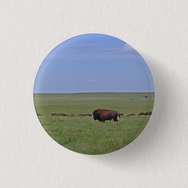 Tallgrass Prairie National Preserve - Kansas Button (Front)