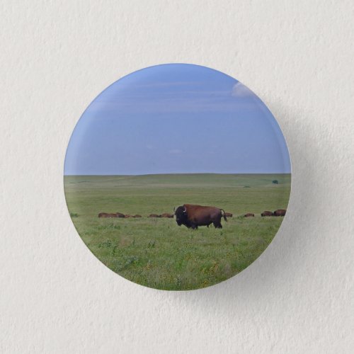 Tallgrass Prairie National Preserve _ Kansas Button