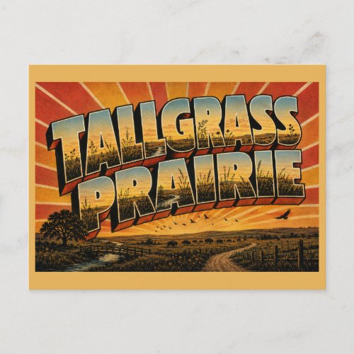 Tallgrass Prairie OK Rolling Hills Bison Art Postcard