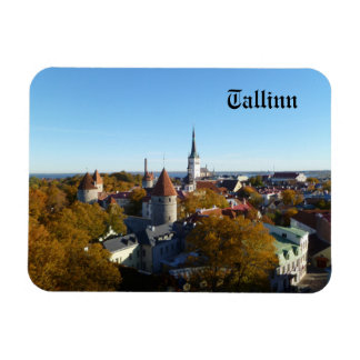 Tallinn Magnet